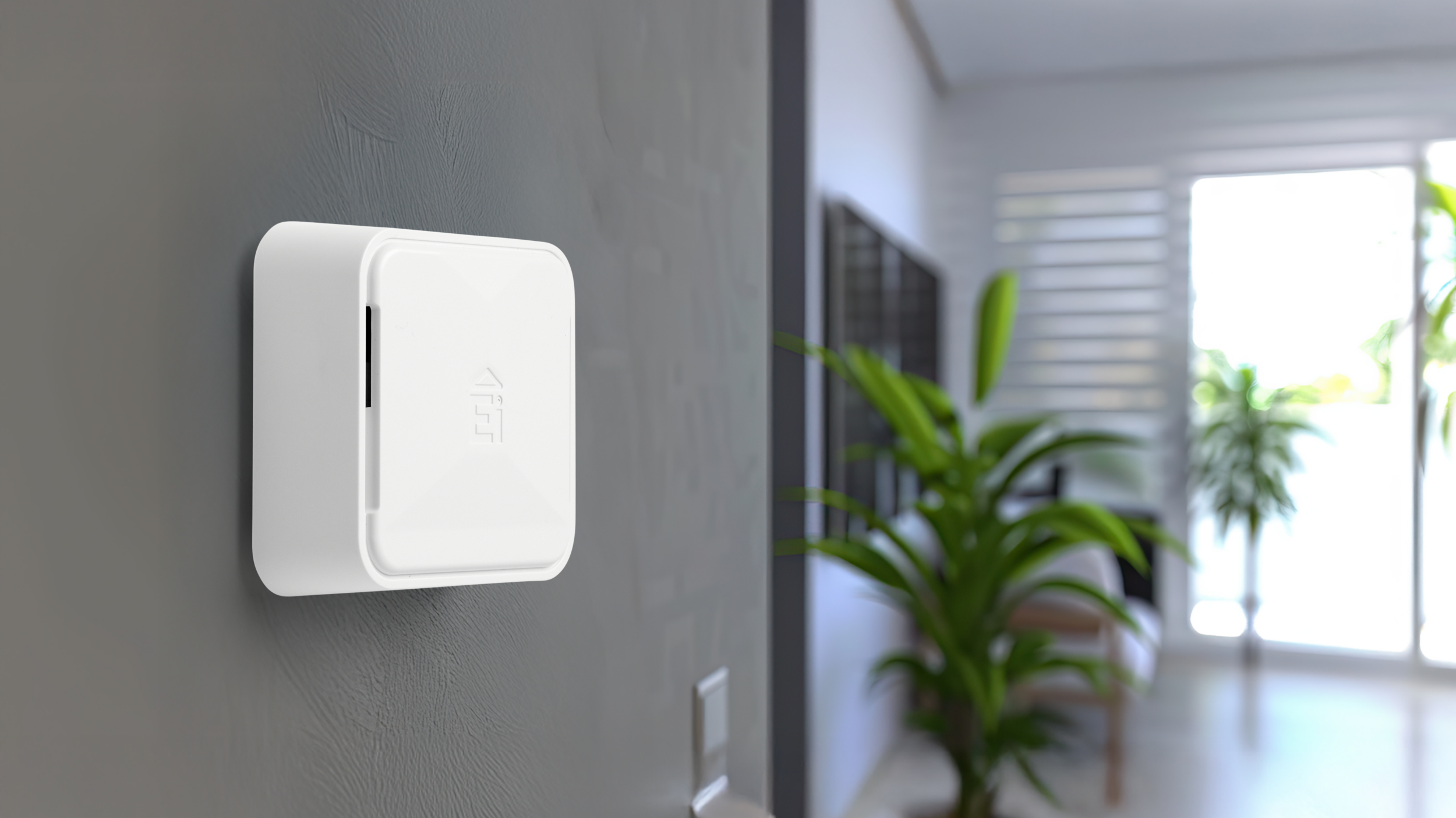 Homelink product on grey wall, with plants in the background