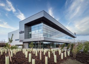 Company Values and Culture